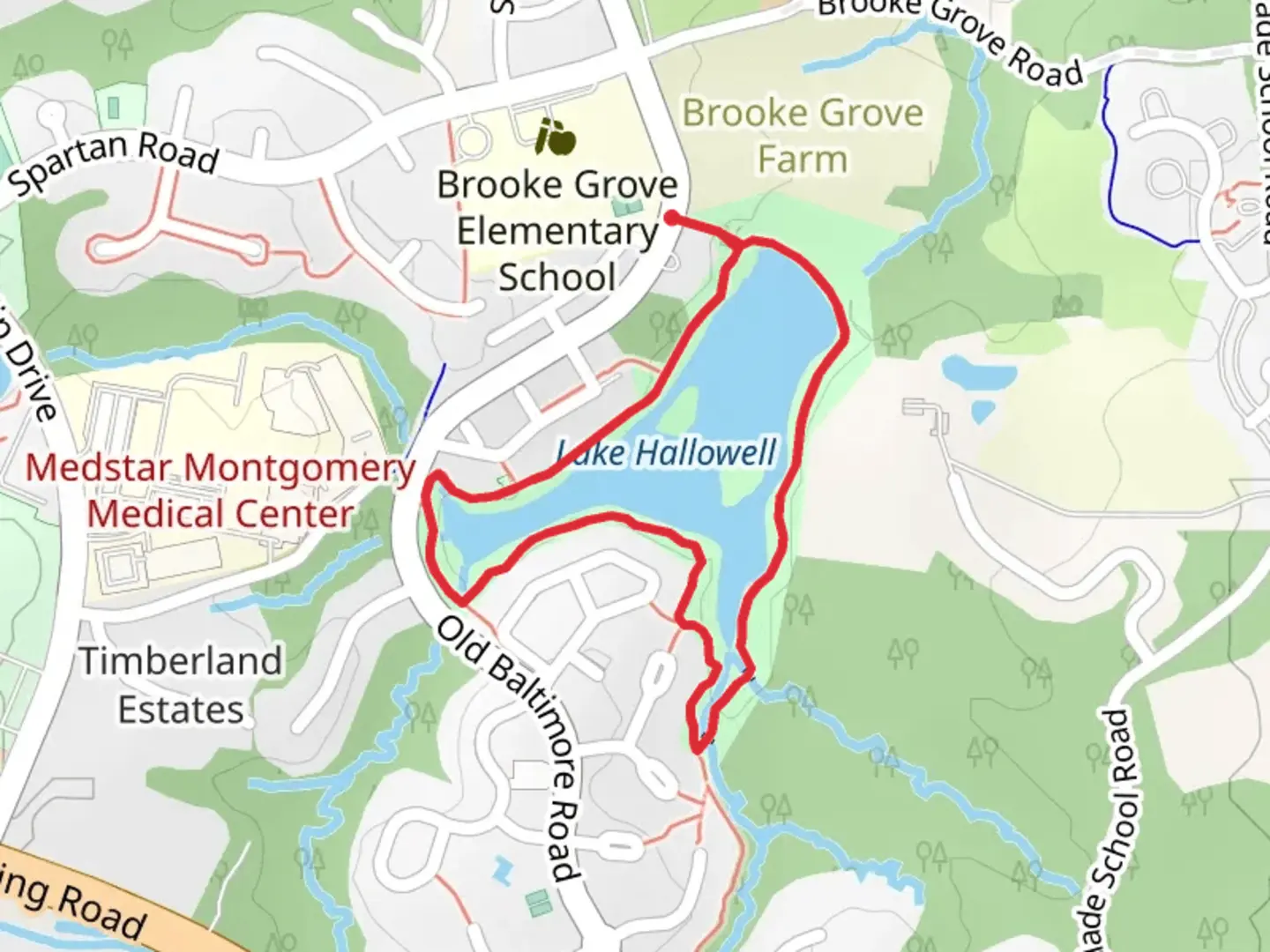 An image depicting the trail Lake Hallowell Loop and its surrounding area.