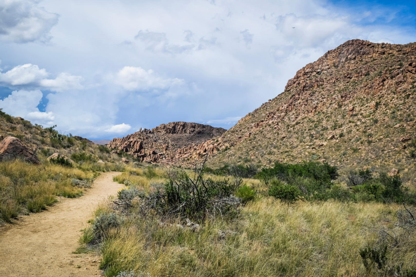 An image depicting the trail Balanced Rock via Grapevine Hills Trail and its surrounding area.