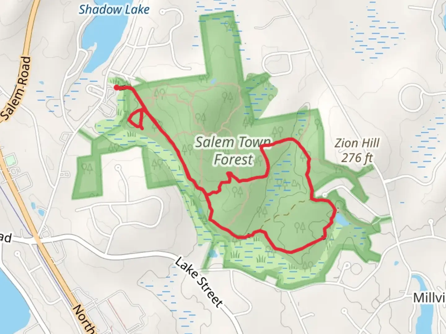 An image depicting the trail Hity Tity Brook Loop Trail and its surrounding area.