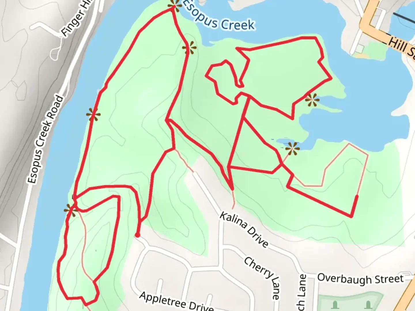 An image depicting the trail Esopus Bend Nature Preserve Loop and its surrounding area.