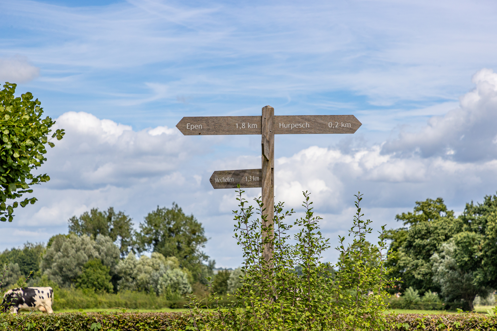 An image depicting the trail Gulpen Wittem and Epen Bronnenland Rood Loop and its surrounding area.