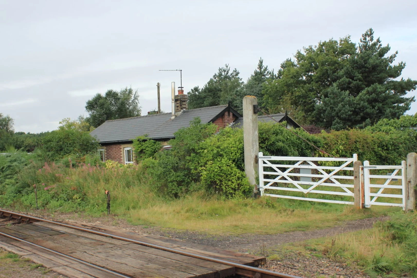 An image depicting the trail Kelling Heath Loop and its surrounding area.