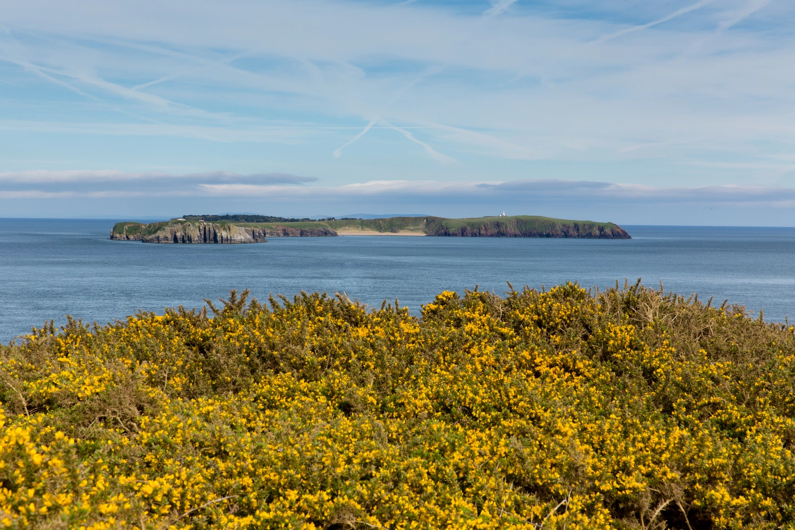 An image depicting the trail Caldey Island - Lighthouse Walk and its surrounding area.