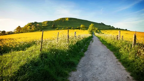 An image depicting the trail Wessex Ridgeway and its surrounding area.