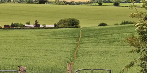 An image depicting the trail Saunderton Circular via Bledlow Ridge and its surrounding area.