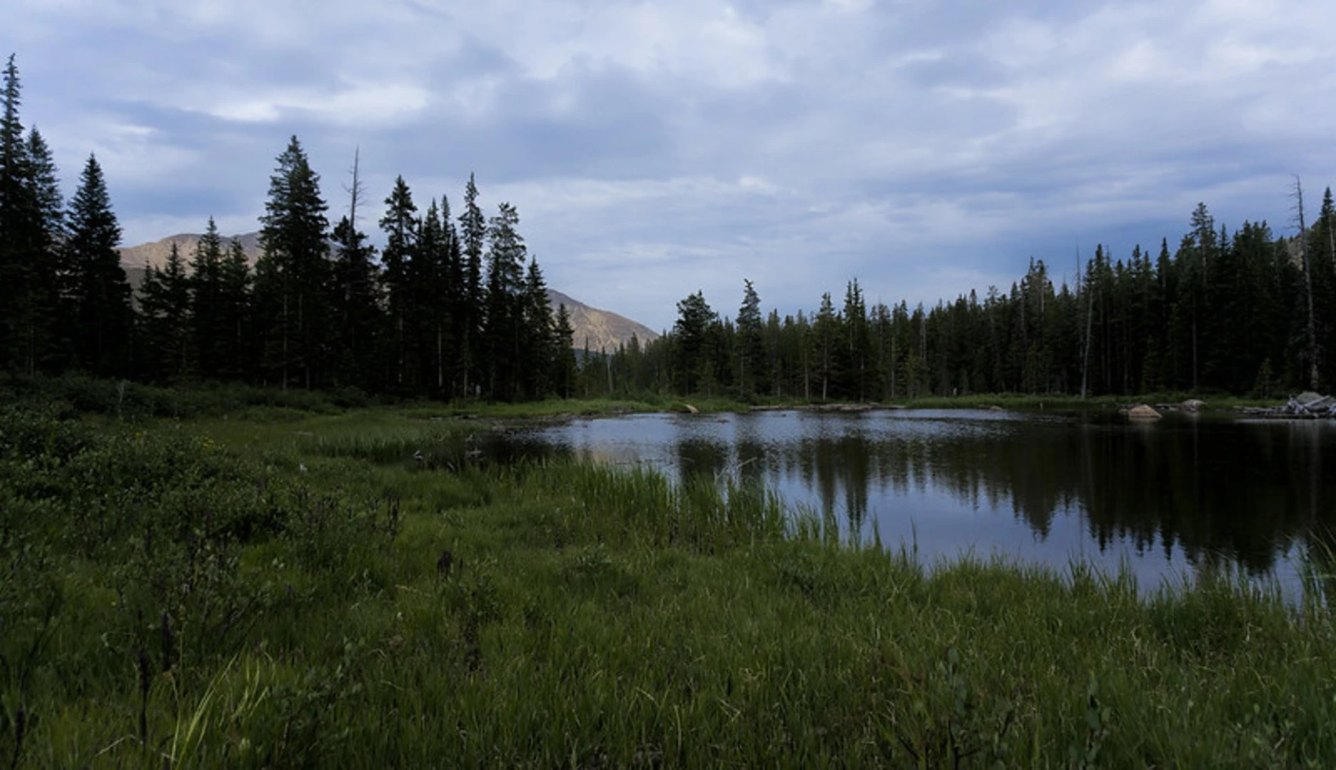 An image depicting the trail Hartenstein Lake via Browns Pass Trail and its surrounding area.