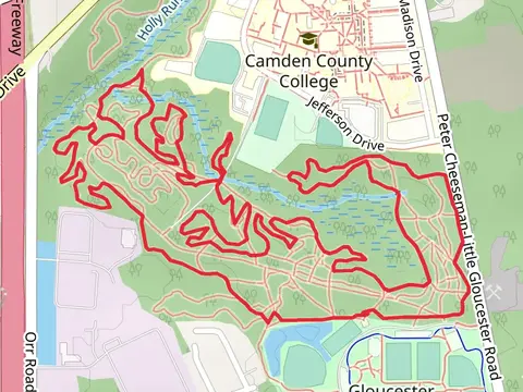 Middle Trails and Twisty Loop