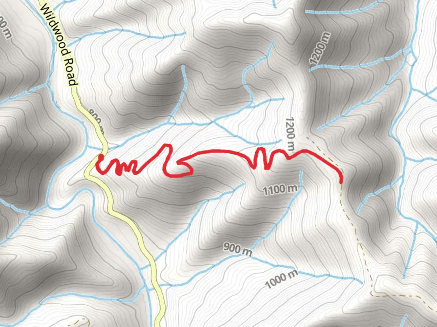 An image depicting the trail East Fork Divide Trail and its surrounding area.