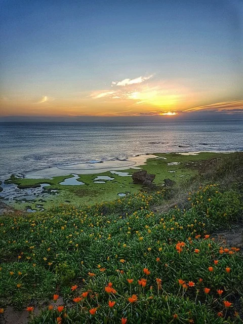 An image depicting the trail Sorrento Back Beach to Portsea Village Walk and its surrounding area.