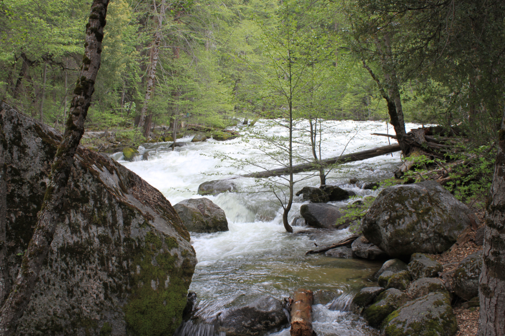 An image depicting the trail Happy Isles Trail and its surrounding area.