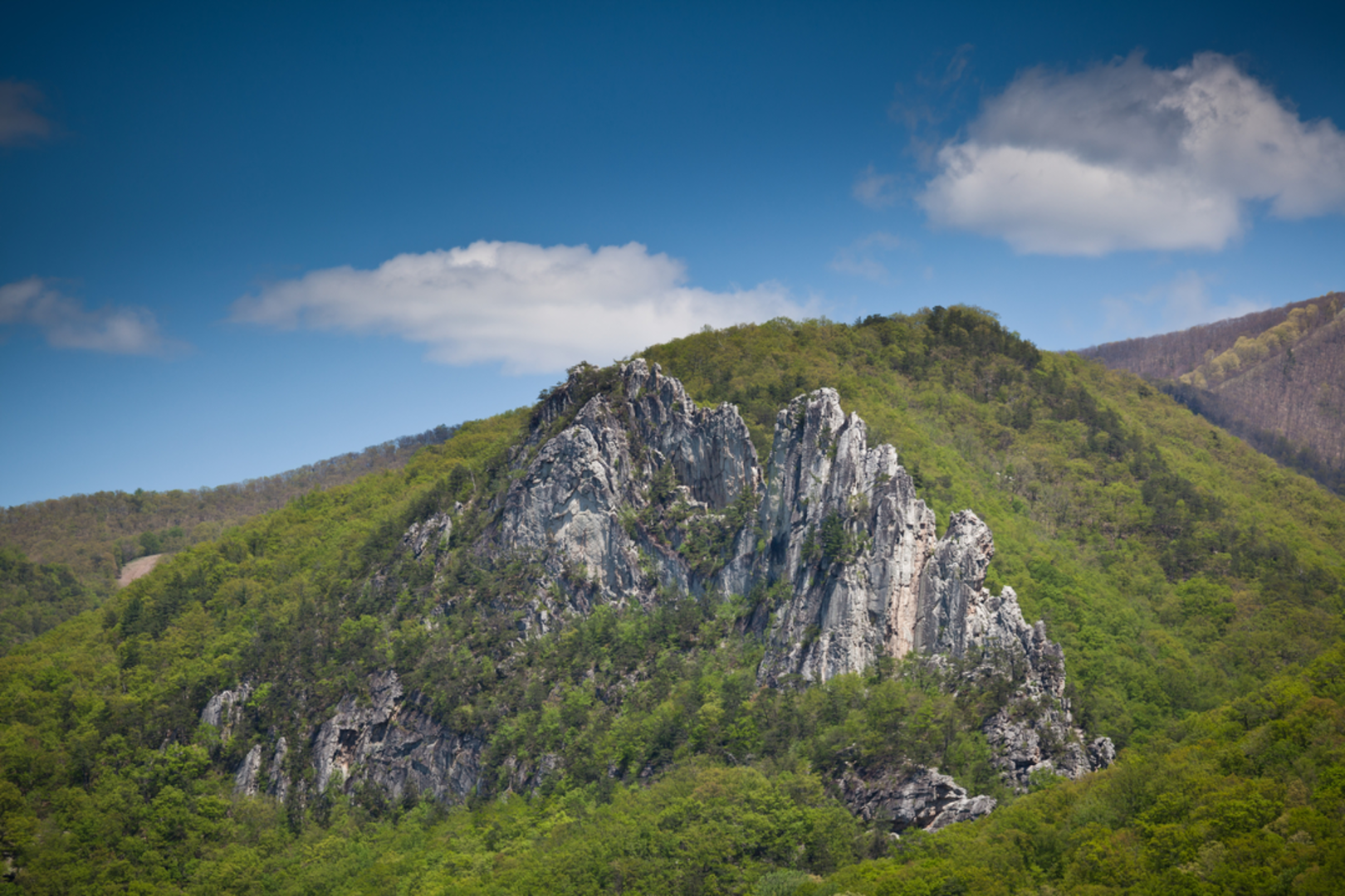 An image depicting the trail Burner Mountain Trail and its surrounding area.