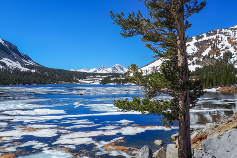 An image depicting the trail Nunatak Nature Loop Trail and its surrounding area.