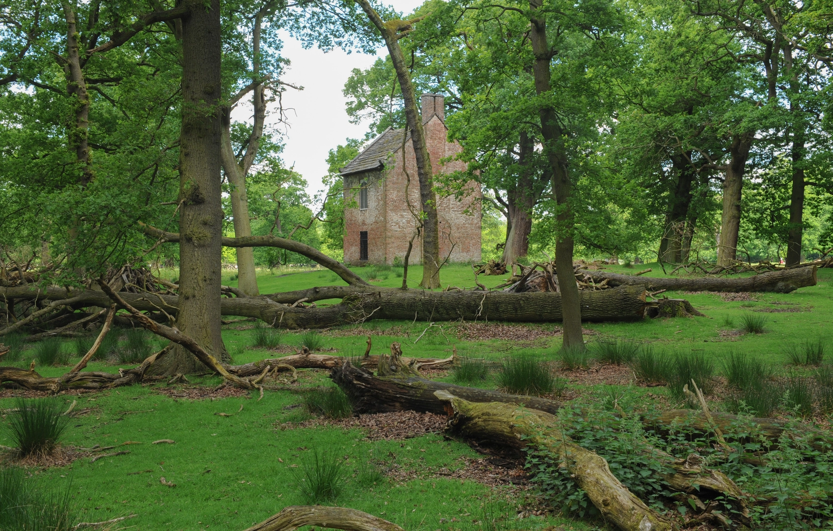 An image depicting the trail Altrincham Circular Trail and its surrounding area.