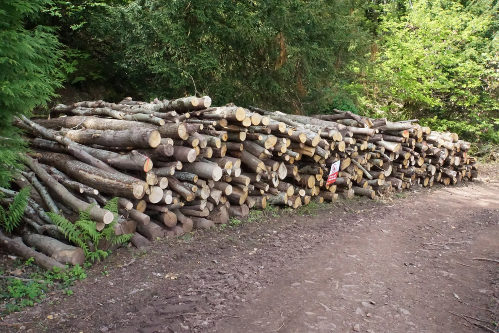 An image depicting the trail Yearnor Wood and Culbone Walk and its surrounding area.