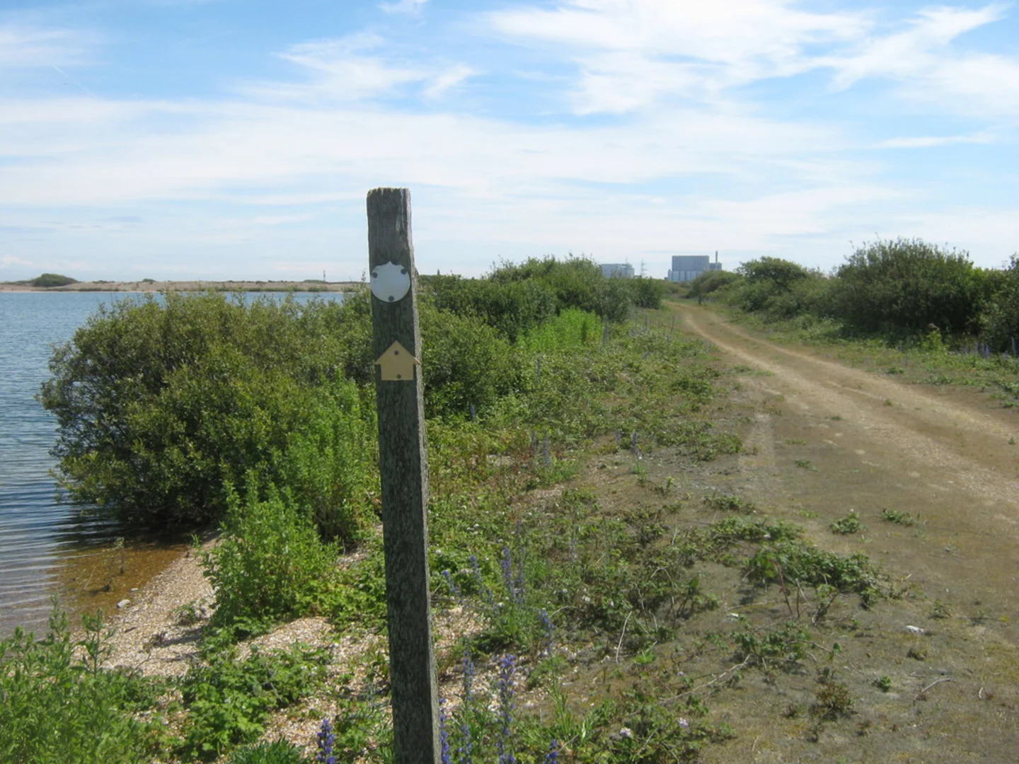 An image depicting the trail RSPB Dungeness Loop and its surrounding area.