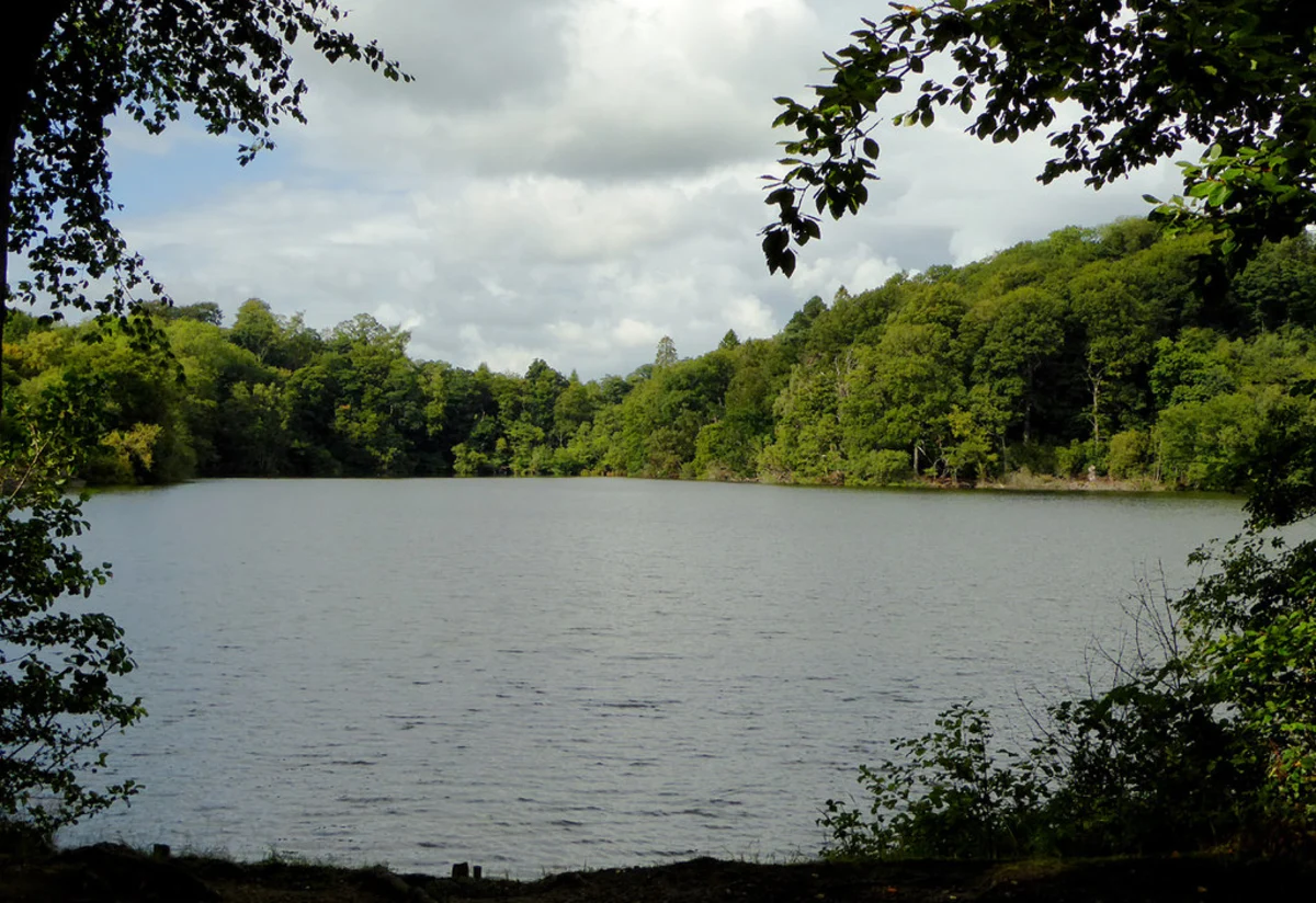 The Mere and Colemere and Blake Mere via Shropshire Way Main Route