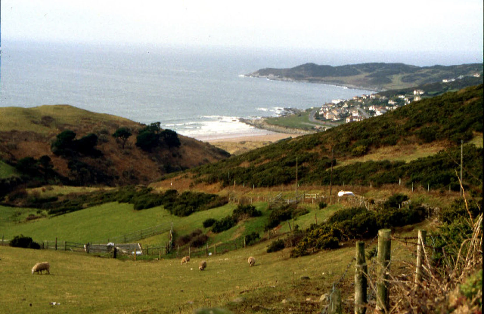 An image depicting the trail Saunton, Putsborough and Woolacombe Sands Loop and its surrounding area.