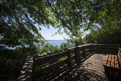 An image depicting the trail Trustom Pond Loop and its surrounding area.