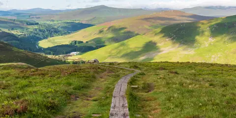 An image depicting the trail Wicklow Way JB Malone to Djouce and its surrounding area.
