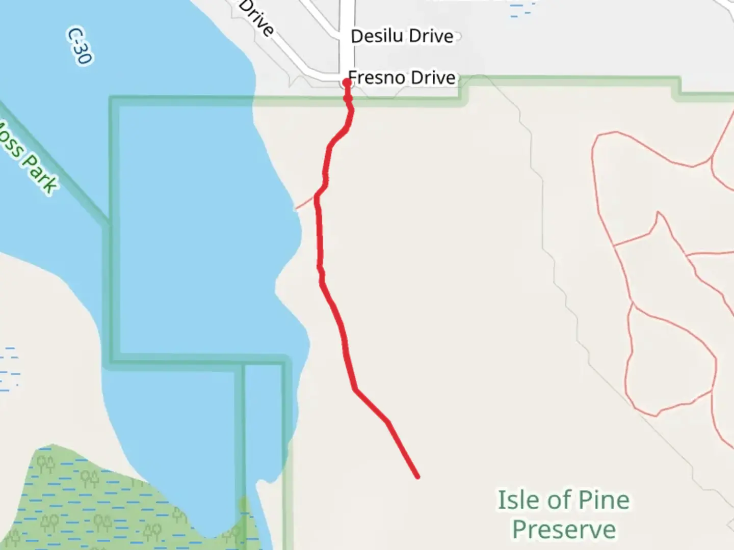An image depicting the trail Isle of Pine Green Trail and its surrounding area.
