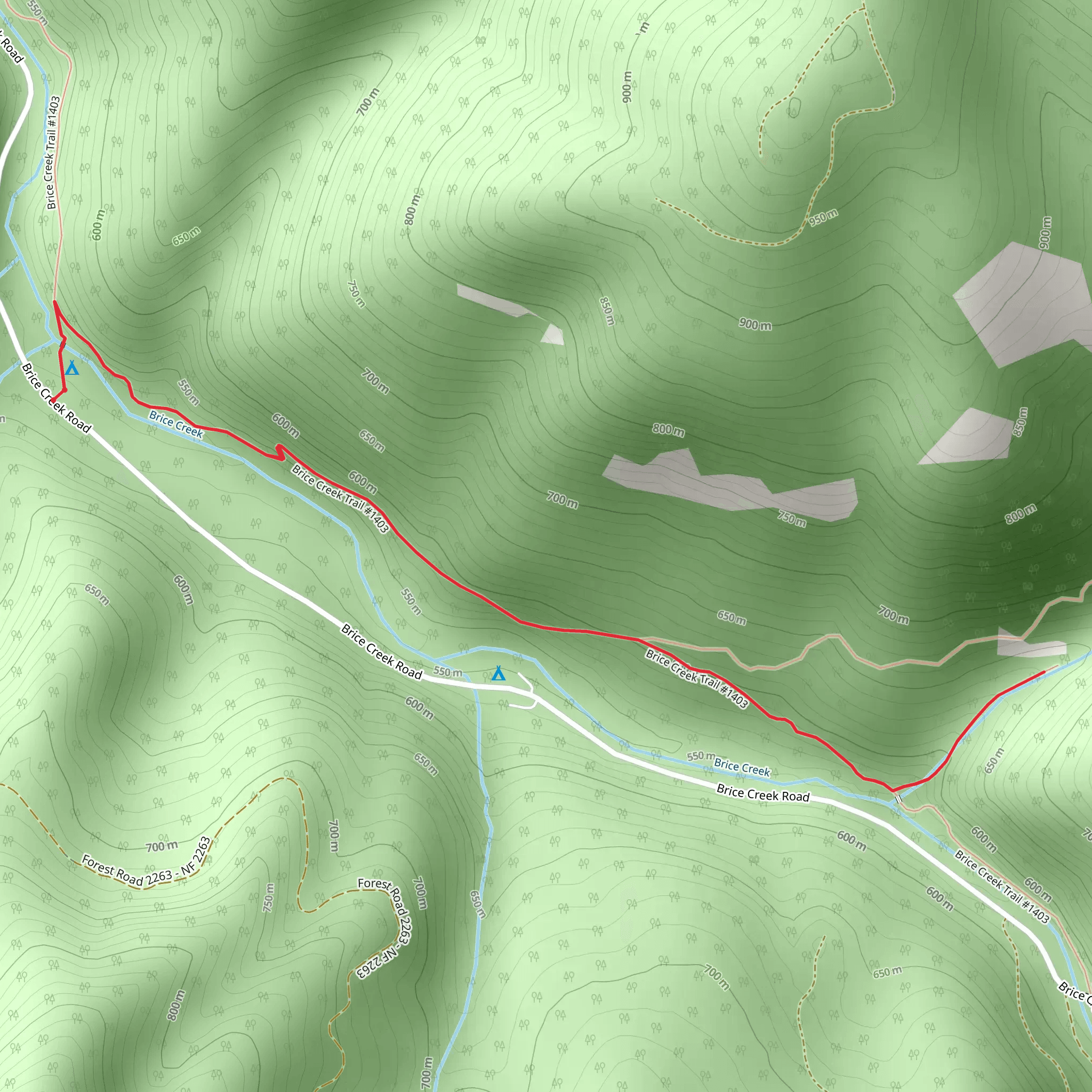 Trestle Creek via Brice Creek Trail mobile static map