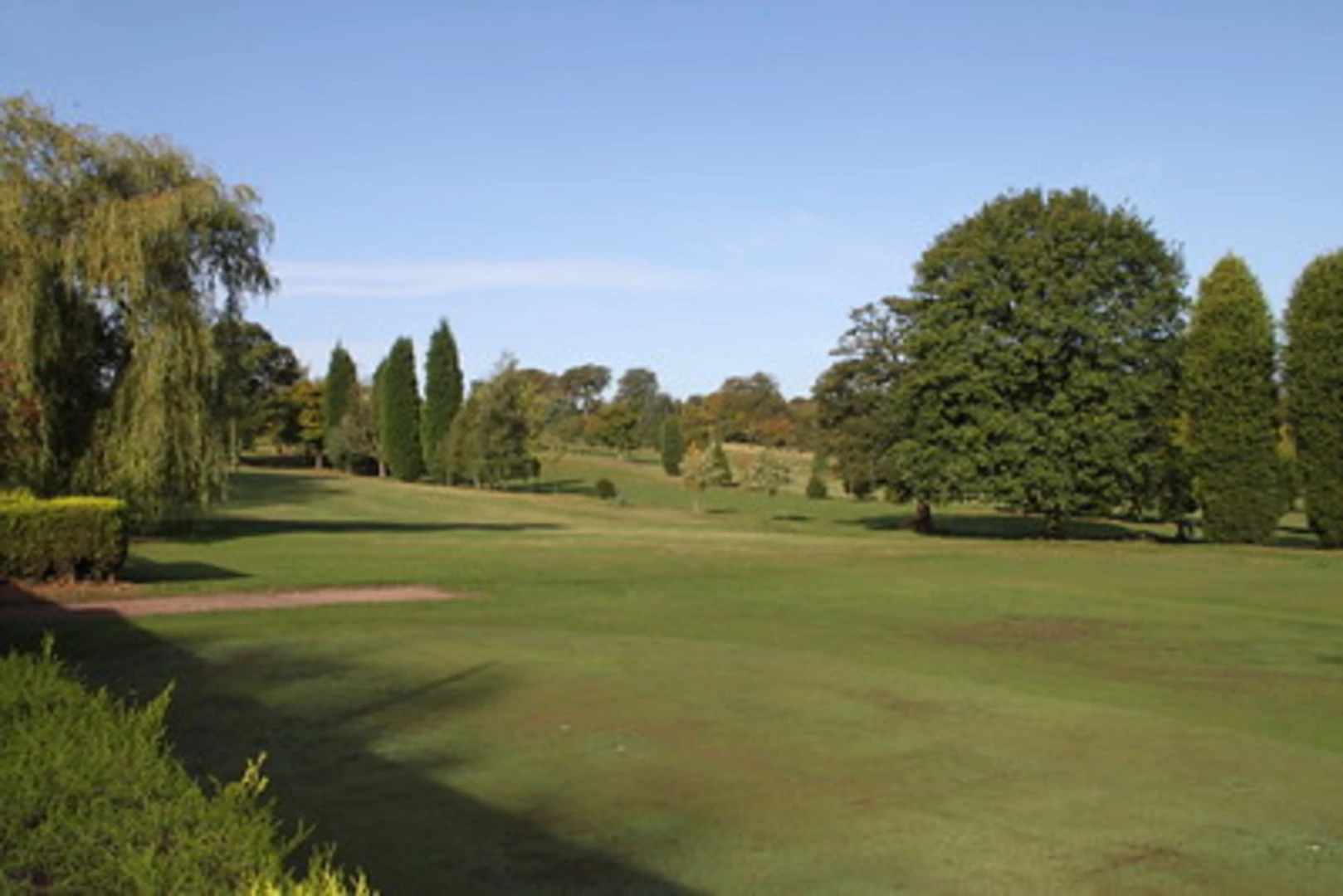 An image depicting the trail Warley Woods Loop and its surrounding area.