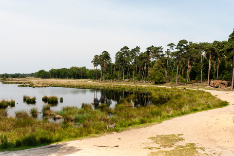 Kogelvangersven, Palingven and Belvers Ven Loop