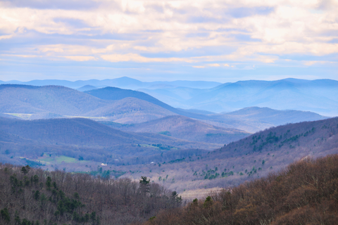 An image depicting the trail Turk Branch Trail and its surrounding area.