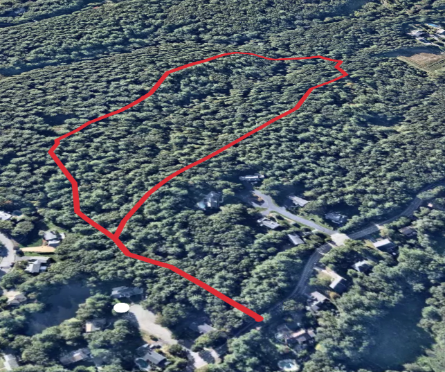 Alt Reservation - Grover Street