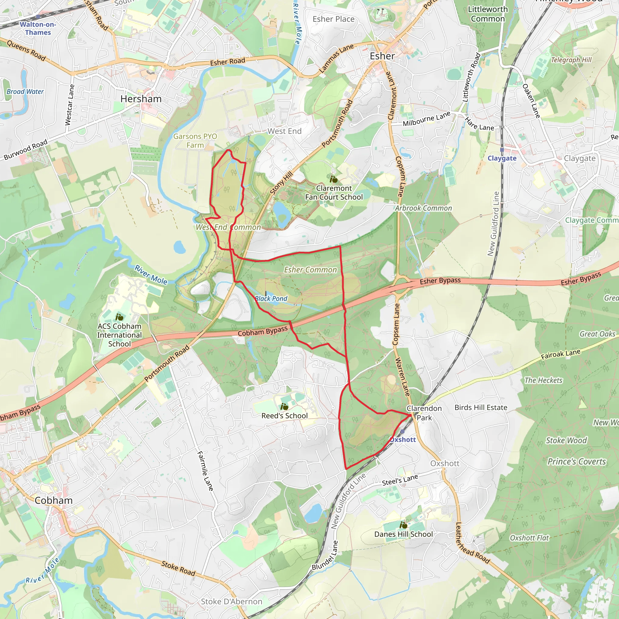 Clarendon Park to West End Common Loop mobile static map