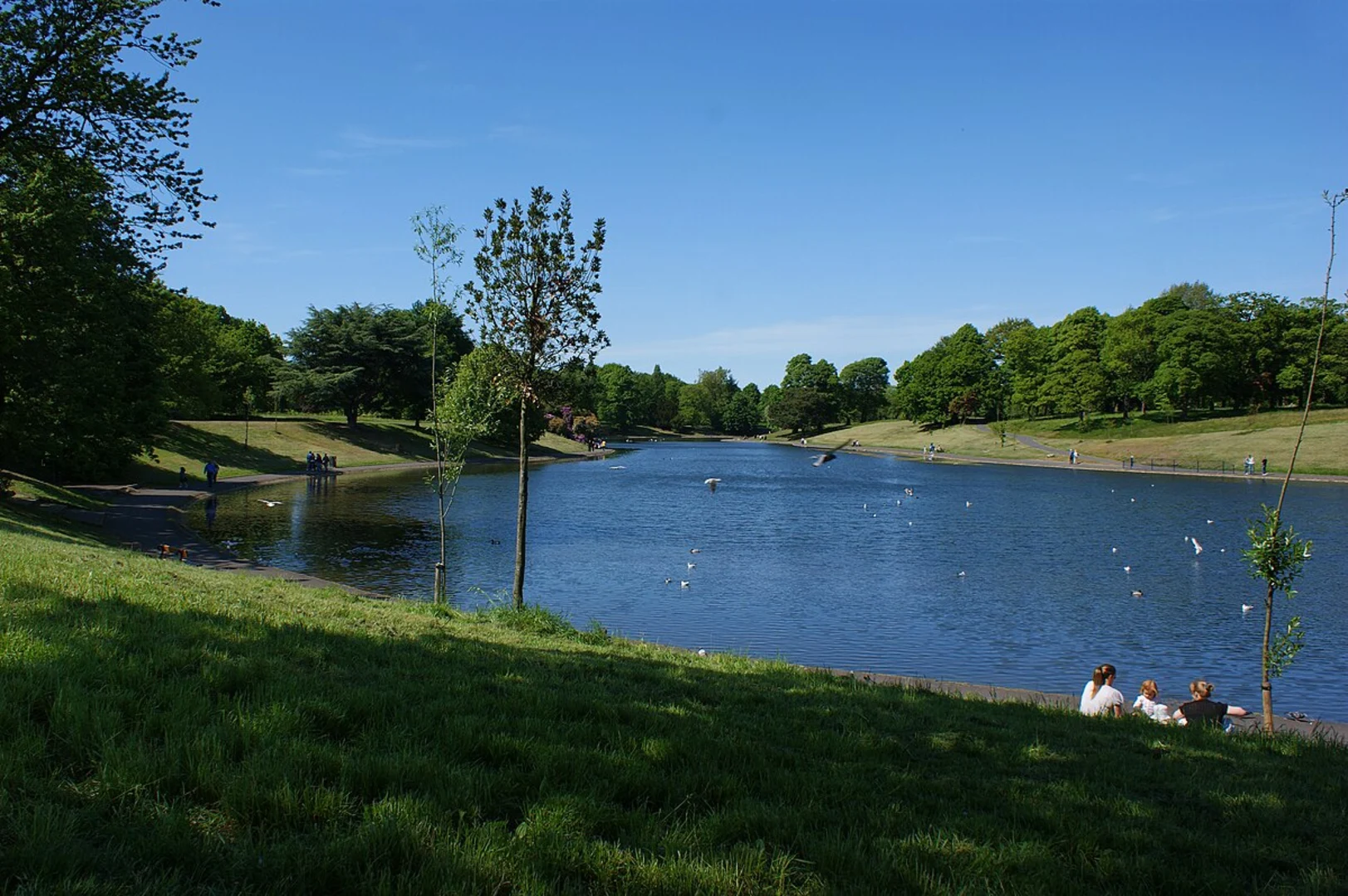 An image depicting the trail Sefton Park and Lake Loop and its surrounding area.