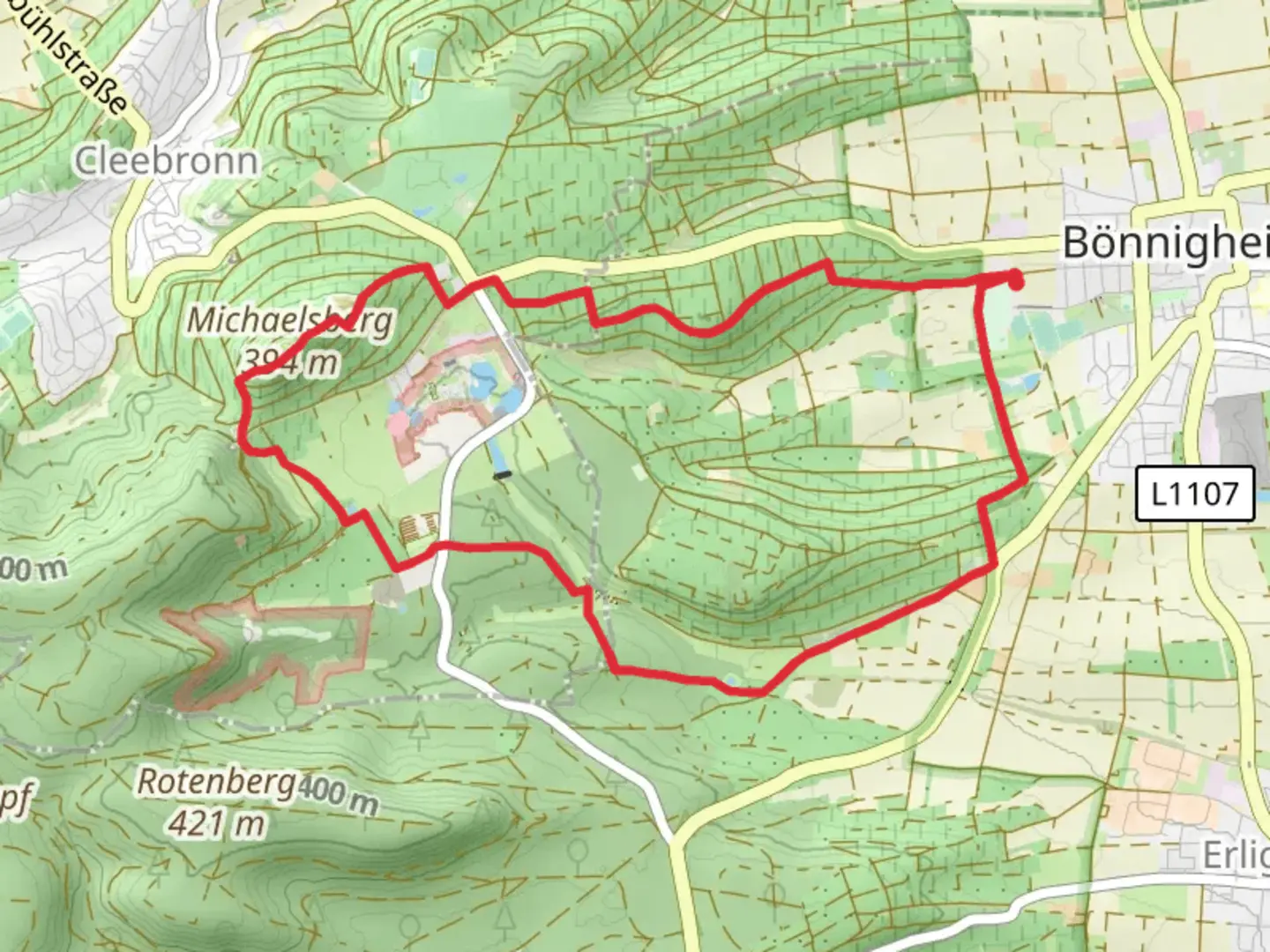 An image depicting the trail Michaelsberg via Lemberger and its surrounding area.