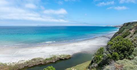 An image depicting the trail Torrey Pines via East Point Trail and its surrounding area.