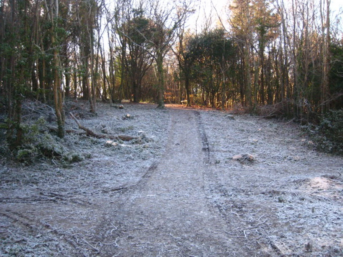 Tehidy Park and Oak Wood Loop