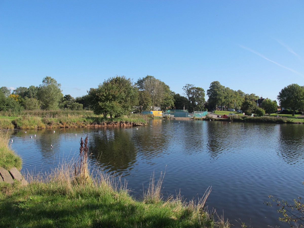 Nantwich Lake and Acton Loop