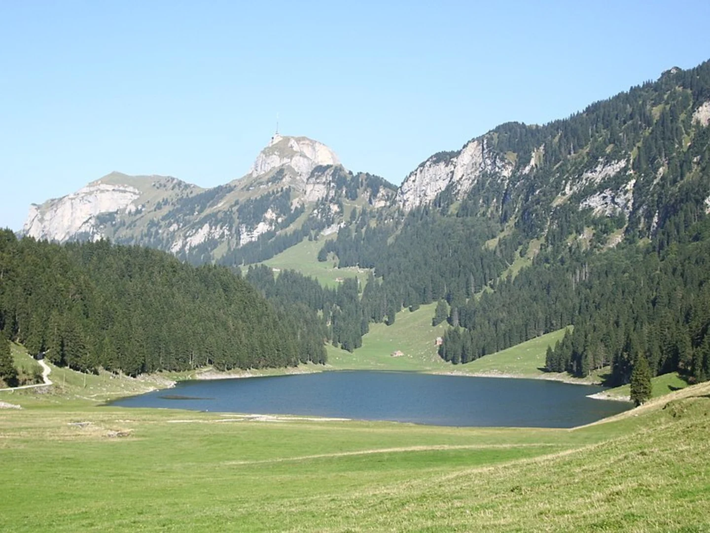 An image depicting the trail Bergblumenwanderung Alp Sigel and its surrounding area.