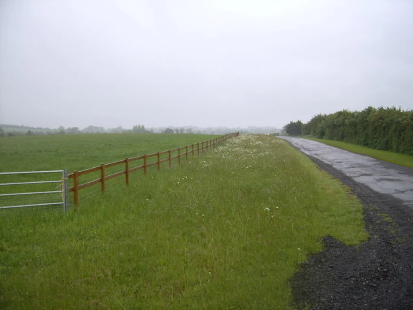 An image depicting the trail Nightingale Woods and Bellingham Wood and its surrounding area.
