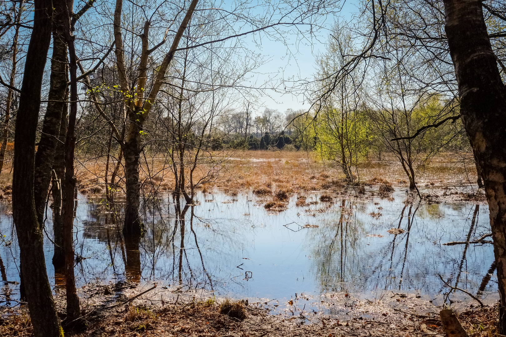 An image depicting the trail Schipbeekpad and Buurserzand - Groene Loop and its surrounding area.