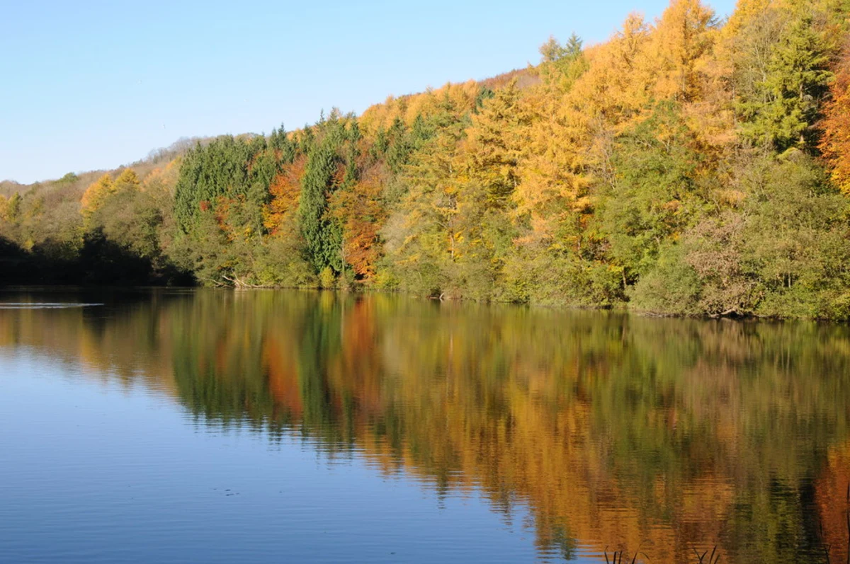 Woodchester Park, Middle Pond and Parkmill Pond Loop