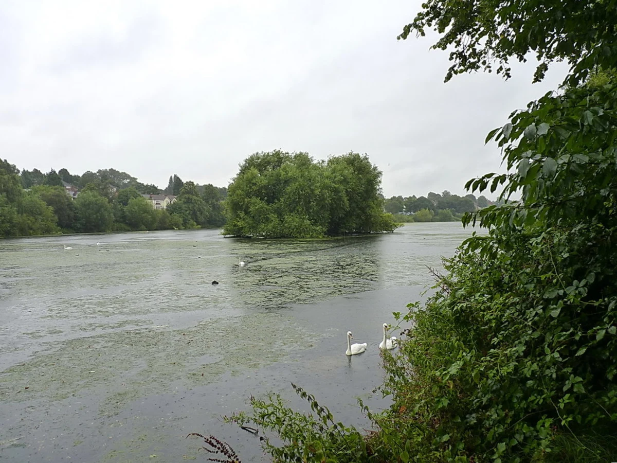 Brookvale Park Lake Loop