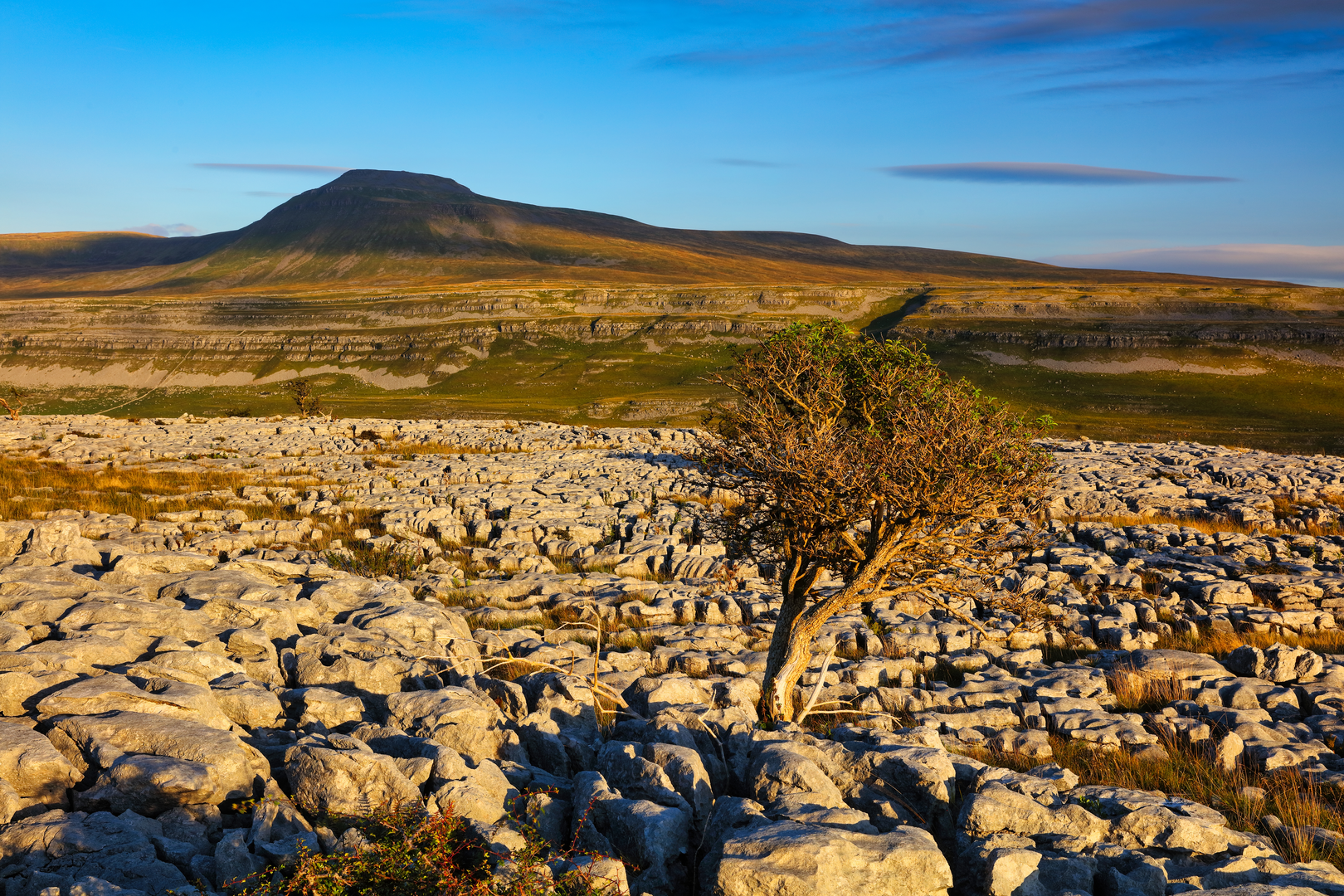 An image depicting the trail Clapham - Trow Gill - Gaping Gill - Ingleborough - Cold Cotes and Newby and its surrounding area.