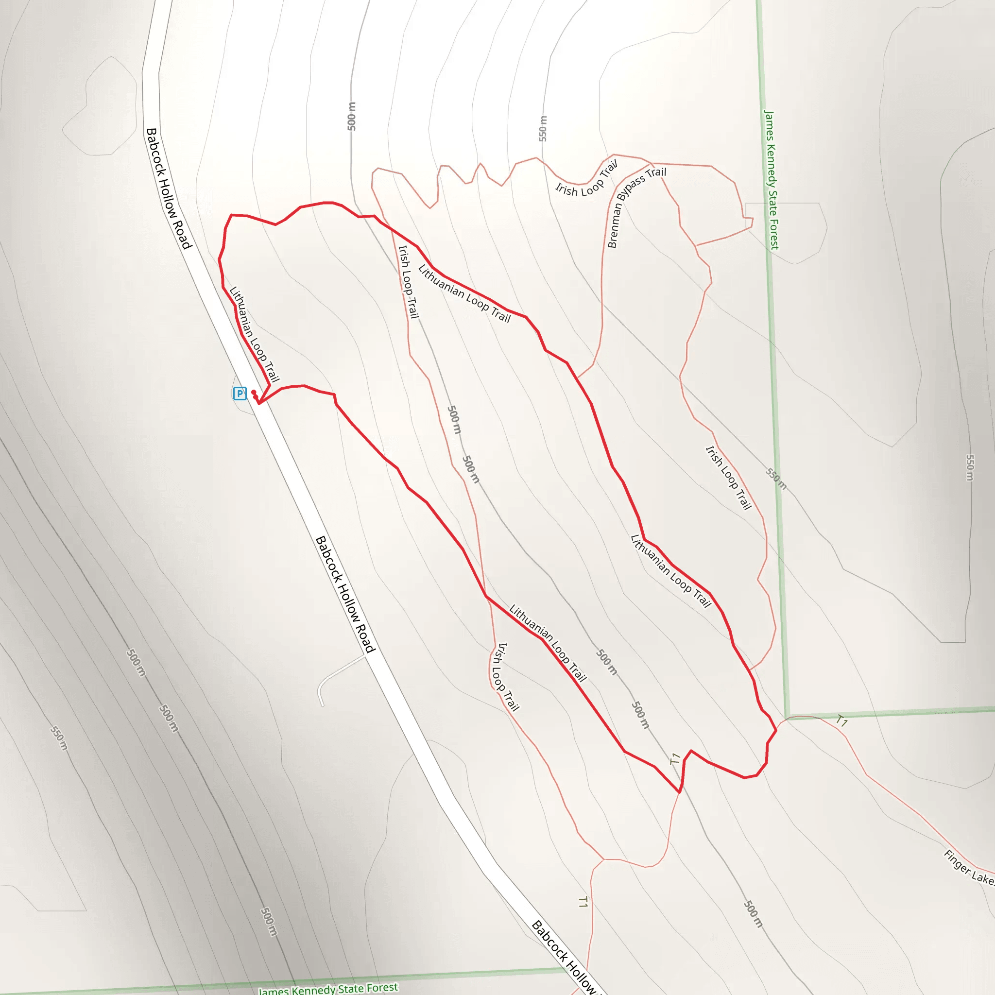 Lithuanian Trail and Irish Trail Loop mobile static map