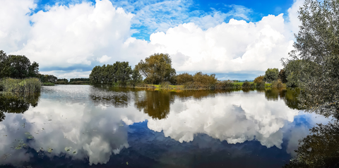 Zeoterwoude Dorp and Welvaart Loop
