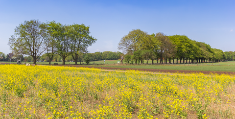 Wullenberg and Hegejanskamp via Klimpad Holterberg