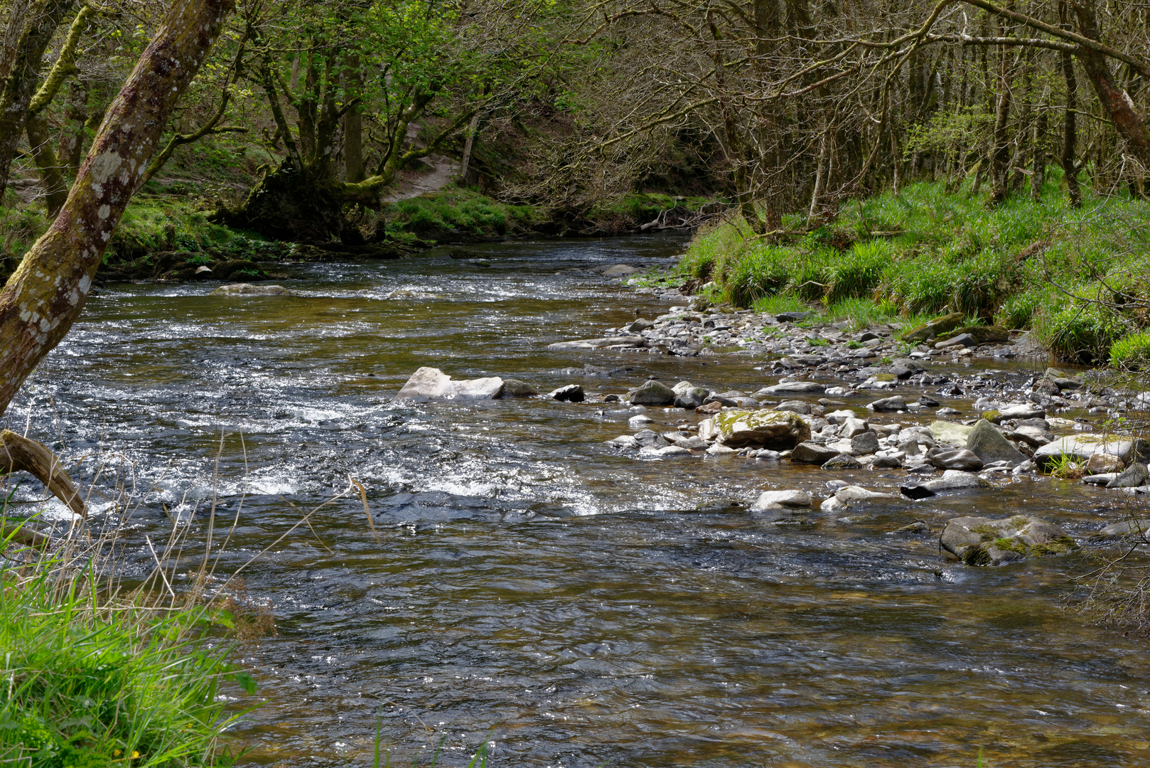 An image depicting the trail Tarr Steps and its surrounding area.