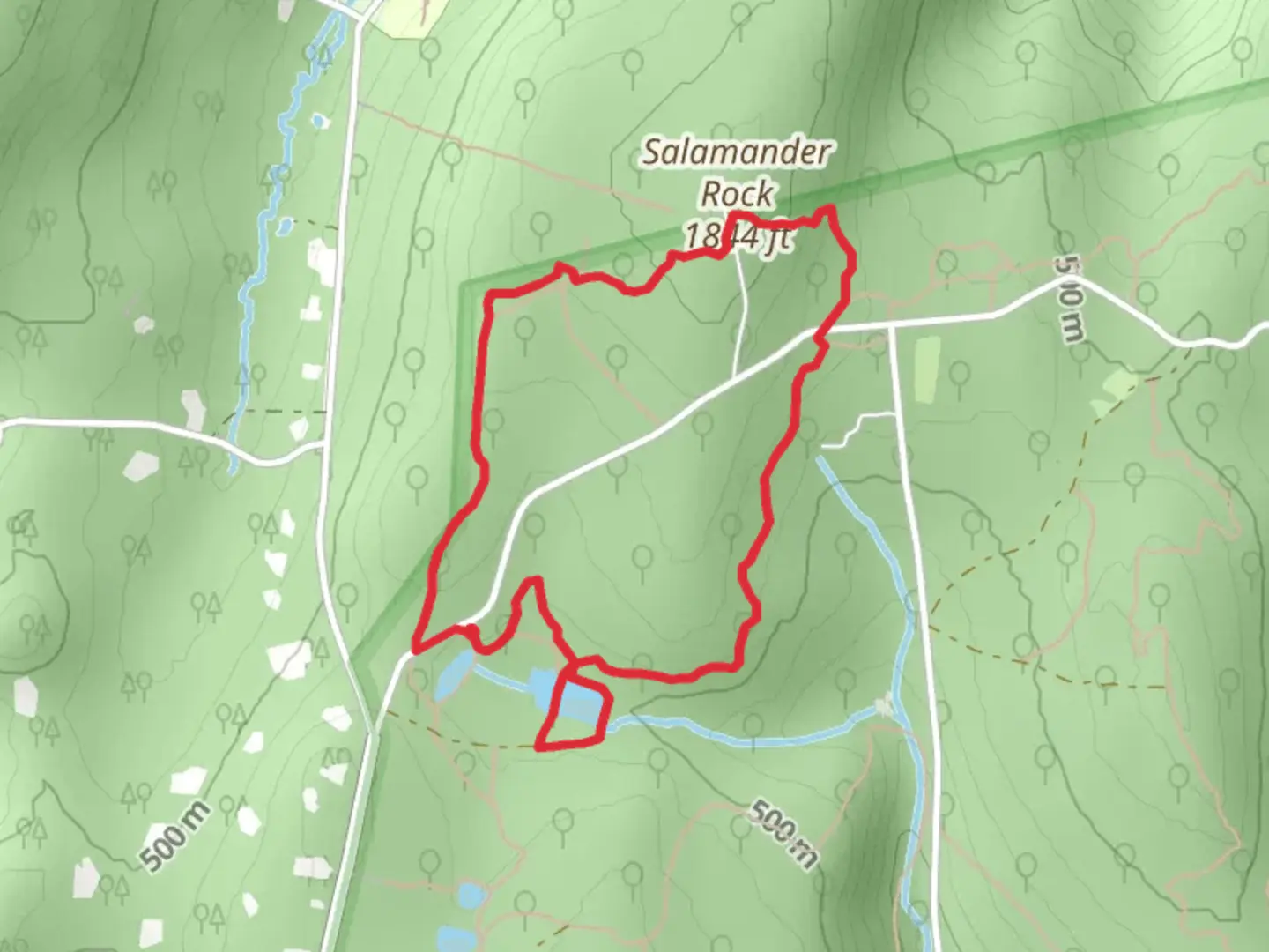 An image depicting the trail Skink, Whiskey Springs Pond and Salamander Loop Trail and its surrounding area.