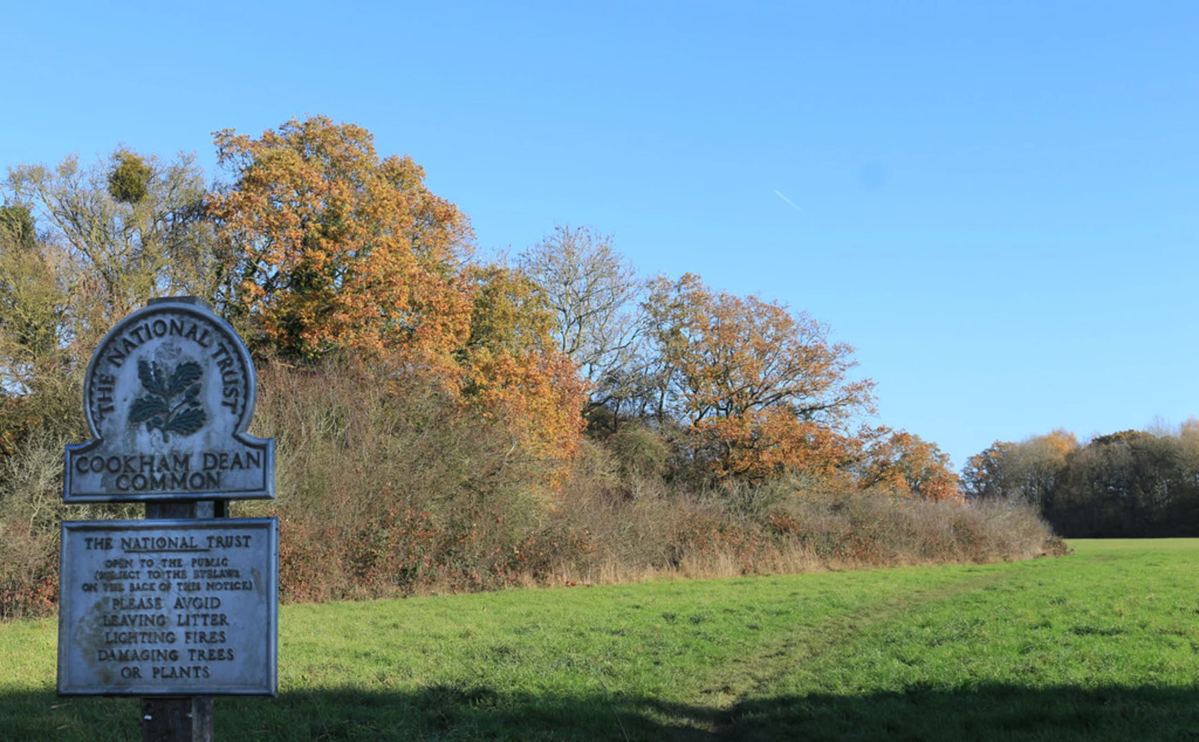 An image depicting the trail Bisham Woods, Quarry Wood and Goulding Wood Loop and its surrounding area.