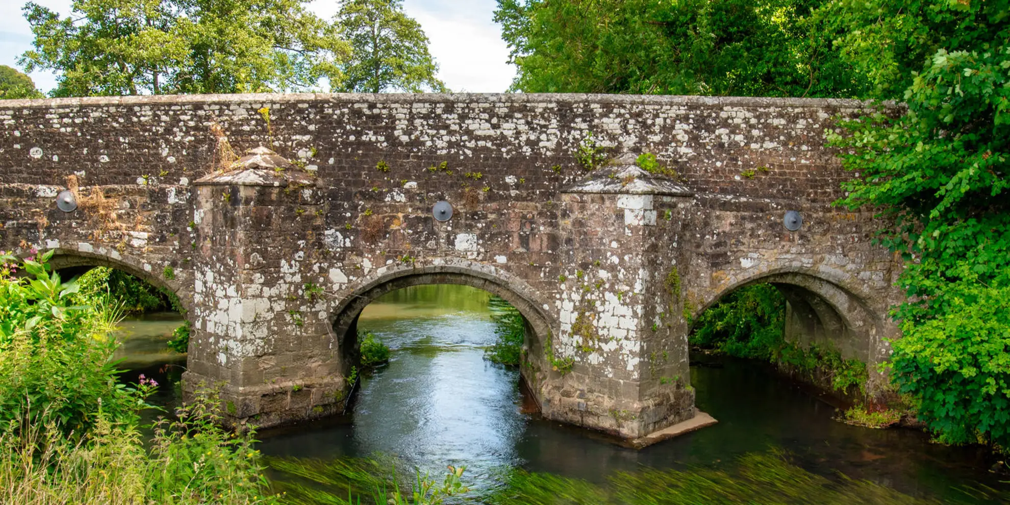 An image depicting the trail Midhurst and Woolbeding and its surrounding area.