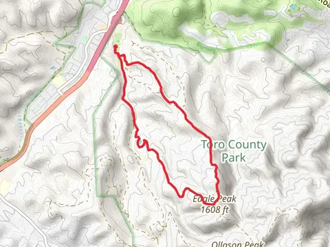 Toyon Ridge Loop Trail