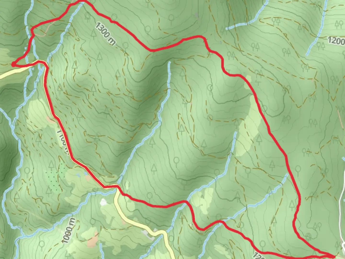An image depicting the trail Reinischwirt - Absetzwirt Loop and its surrounding area.